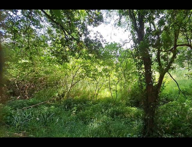 LAND FOR SALE IN SANDHURST